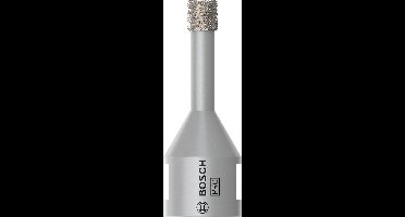 Bosch PRO droge kerntang 8 x 30 mm - 2608599040