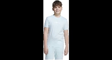 Adidas Essentials T-shirt Met Korte Mouwen Blauw 11-12 Years Jongens,Meisjes