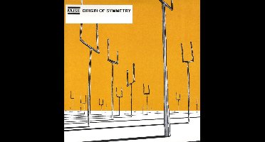 Origin of Symmetry (LP)