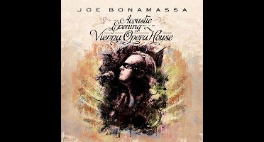 An Acoustic Evening At The Vienna Opera House