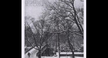 High Winds, White Sky