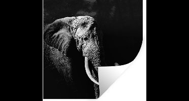 Muurstickers - Sticker Folie - Olifant - Papegaai - Tanden - Zwart - Wit - 30x30 cm - Plakfolie - Muurstickers Kinderkamer - Zelfklevend Behang - Zelfklevend behangpapier - Stickerfolie