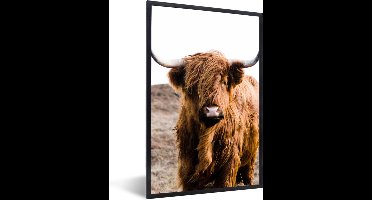 PosterMonkey - Fotolijst - Poster - Dieren - Schotse hooglander - Natuur - Koeien - Poster frame - 20x30 cm - Kader - Poster natuur - Foto met lijst - Woondecoratie - Poster Schotse hooglander