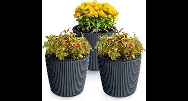Prosperplast Plantenpot/bloempot Buckingham - 3x - buiten/binnen - antraciet - D14 x H13 cm
