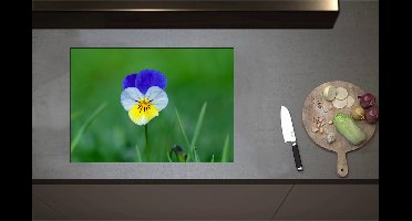 Inductieplaat Beschermer - Blauw met Gele Tuinviool in Grasveld - Bloemen - 71x50 cm - 2 mm Dik - Inductie Beschermer - Bescherming Inductiekookplaat - Kookplaat Beschermer van Wit Vinyl