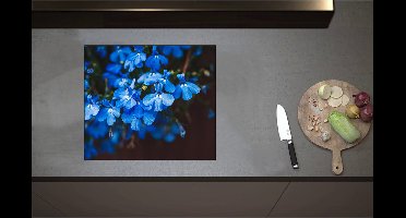 Inductieplaat Beschermer - Blauwe Tuinlobelie Bloemen voor Donkere Achtergrond - 58x51 cm - 2 mm Dik - Inductie Beschermer - Bescherming Inductiekookplaat - Kookplaat Beschermer van Wit Vinyl