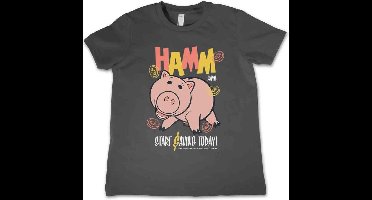 Disney Toy Story Kinder Tshirt -Kids tm 4 jaar- HAMM Grijs