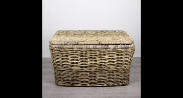 Migo Styling - Opbergmand-Met deksel-75x45x42 cm-Riet-Rotan-Ijzeren frame-Grey