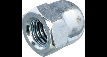 Dopmoer M20 verzinkt staal - 25 stuks