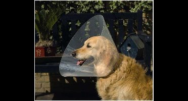 Beeztees - Hondenkraag - Plastic - 47-57x30 cm