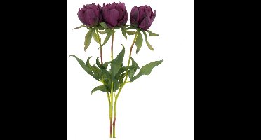 Kunstbloem Paeony Marlie Bundle Aubergine - 48 cm