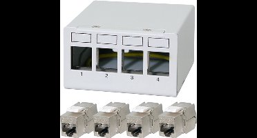 LOGILINK Patchpanel NK4090 4Poorten incl. 4 CAT6A-modules