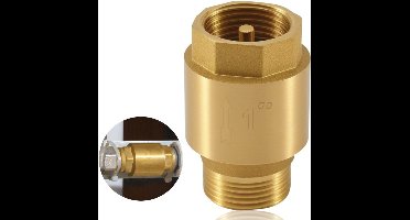 Messing Terugslagventiel DN25 - Voor Tuinpompen, Fonteinen en Wasmachines
