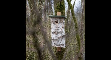 CJ Wildlife Nestkast voor Specht - Malmö - Nestkastje van Berkenstam - Houten Vogelhuisje - FSC-gecertificeerd