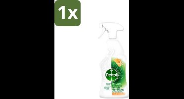 Dettol Allesreiniger Spray Mandarijn & Citroenbloesem 500 ml - 1 stuk