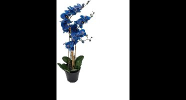 Kunst Phalaenopsis Orchidee In Pot x3 60 cm - Blue