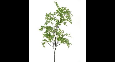 Kunsttak Birch Tree Green - 196 cm