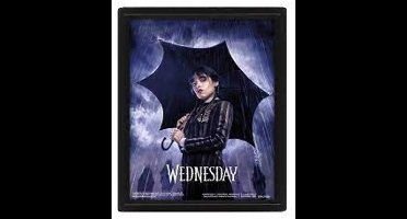 Pyramid 3d Woensdag Paraplu Poster Transparant