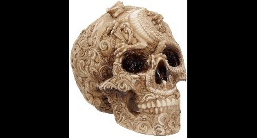 Nemesis Now Beeld Cranial Drakos Schedel Multicolours