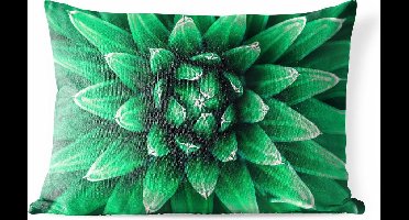 Buitenkussens - Tuin - Close-up cactus bladeren - 60x40 cm