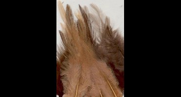 Creative Feathers 8,5-15cm 15pcs earth