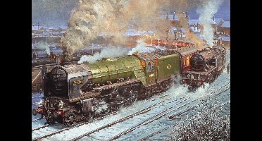 Gibsons- Kestrel at Hartlepool 500st.