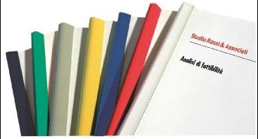 Fellowes D111BI mapinbinder