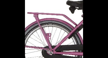 Alpina Achterdrager 22 Cargo fuchsia pink matt