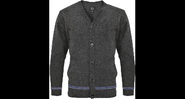 Lochaven Ravenclaw / Ravenklauw V-Neck Cardigan - Lochaven - Harry Potter-XXS