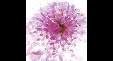 Kunstdruk Ingrid Ulmer - Murano 50x50cm