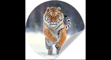 WallCircle - Behangcirkel - Behangsticker - Wanddecoratie rond - Tijger - Sneeuw - Winter - Dieren - Muurdecoratie - Behang zelfklevend - 30x30 cm - Zelfklevend behang