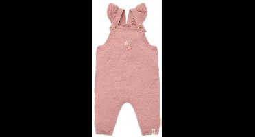 Little Dutch Boxpak - Maat 44 - Boxpakje Meisjes - Fairy Pink, Roze - Fairy Garden Newborn