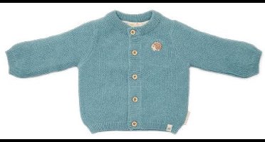Little Dutch Vest - Maat 44 - Gebreid vest Jongens - Baby Blue, Blauw - Forest Friends Newborn
