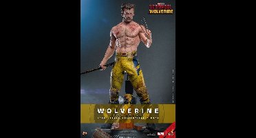 Hot Toys Wolverine (TVA Jacket Version) 1:6 Scale Figure - Hot Toys - Deadpool & Wolverine Figuur