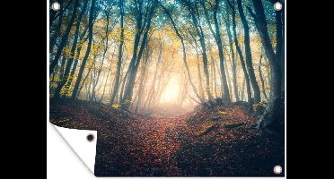 GreatGardenPosters - Tuinposter - Tuin - Tuinposter bos - Herfst - Licht - 80x60 cm - Wanddecoratie - Tuindoek - Tuindecoratie