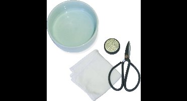 Kikkerland Mini Ikebana Set