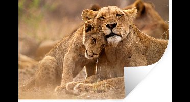 Muurstickers - Sticker Folie - Leeuw - Wilde dieren - Welp - 30x20 cm - Plakfolie - Muurstickers Kinderkamer - Zelfklevend Behang - Zelfklevend behangpapier - Stickerfolie