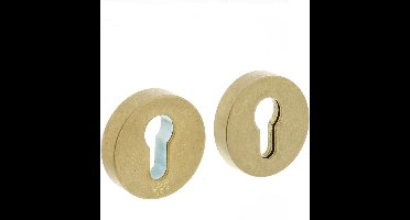 Intersteel Veiligheidsrozet rond SKG*** messing getrommeld