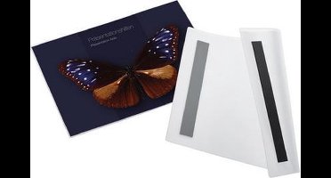 magnetoplan magnetofix magnetische zak, A4 staand, transparant