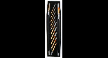 Penselenset  Multi brush Professional colours 12 brushes