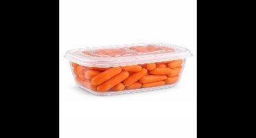 Plasticforte Vershoudbakje - vriezer en magnetron - 0,6L - kunststof - mealprep