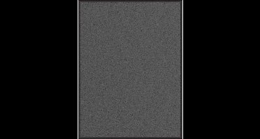 vidaXL - Deurmat - 80x120 - cm - antracietkleurig