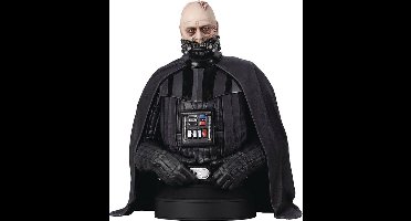 Star Wars – Episode VI Bust 1/6 Darth Vader (unhelmeted) 15 cm