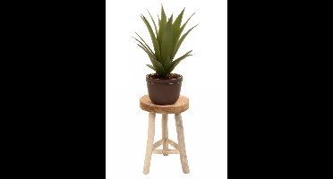 Home & Styling planten tafeltje - D30 x H45 cm - naturel - teakhout - plantverhoger