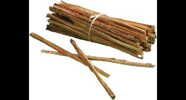 Fancy Flames BBQ/Barbecue/Openhaard Vuurstokjes - 72x - aanmaakhout met hars - ca 21 cm