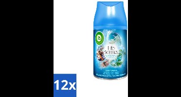 12 x Air Wick - Luchtverfrisser Navulling - Turquoise Oase - Automatische Spray - 250 ml - Geurverspreiding - Tropische Geur - Drijfhout - Zeenevel - Bries