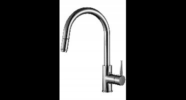 Alveus DELOS Keukenkraan - Mat Zilver, 38cm, Uittrekbare Uitloop