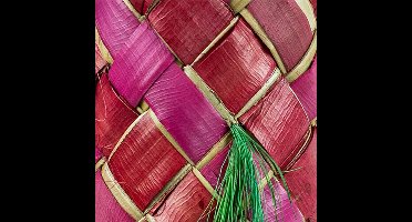 Back Zoo Nature Carnival Pinata