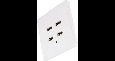 220V Wit 4 Poorten USB Wandstopcontact voor Tablets en Smartphones