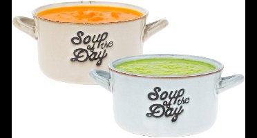 Soepkommen/serveer schaaltjes - 2x - met oor - lichtblauw/beige - porselein - 500ml